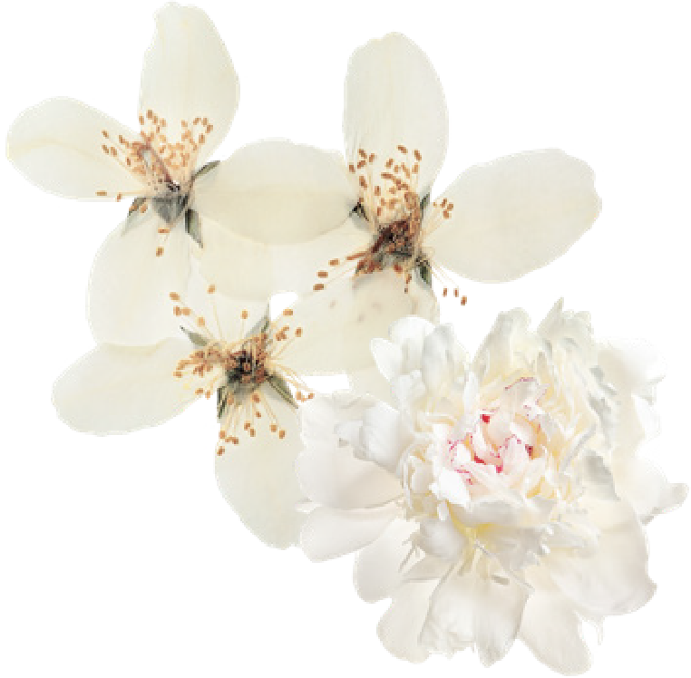 quote-top-left-img-new